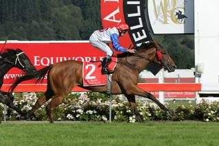 Savvy Coup scored an outstanding win in the $400,000 Group 1 New Zealand Oaks Photo: Trish Dunell